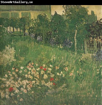 Vincent Van Gogh Daubigny's Garden (nn04)